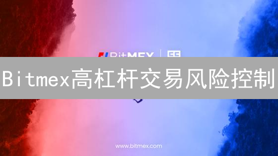 Bitmex高杠杆交易风险控制：7招稳健盈利！