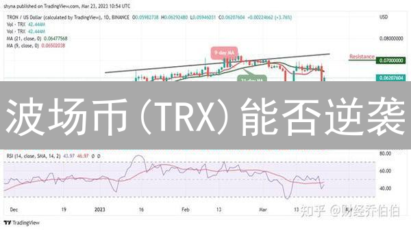 波场币(TRX)能否逆袭？2024年投资潜力深度解析！